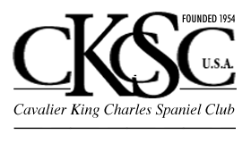 America's Cavalier King Charles Spaniel Club