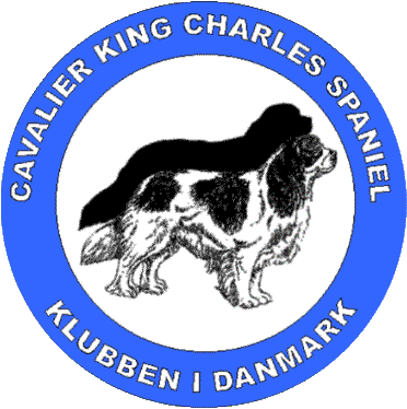 Denmark's Cavalier King Charles Spaniel Club
