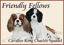 Friendly Fellows -Germany