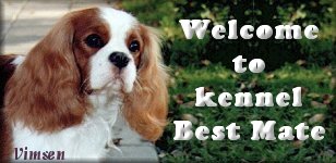 Kennel Bestmate
