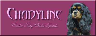 Chadyline Kennel